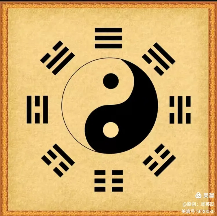 I2ZmZmZmZg_750_0_0_0_q80 (21).jpg